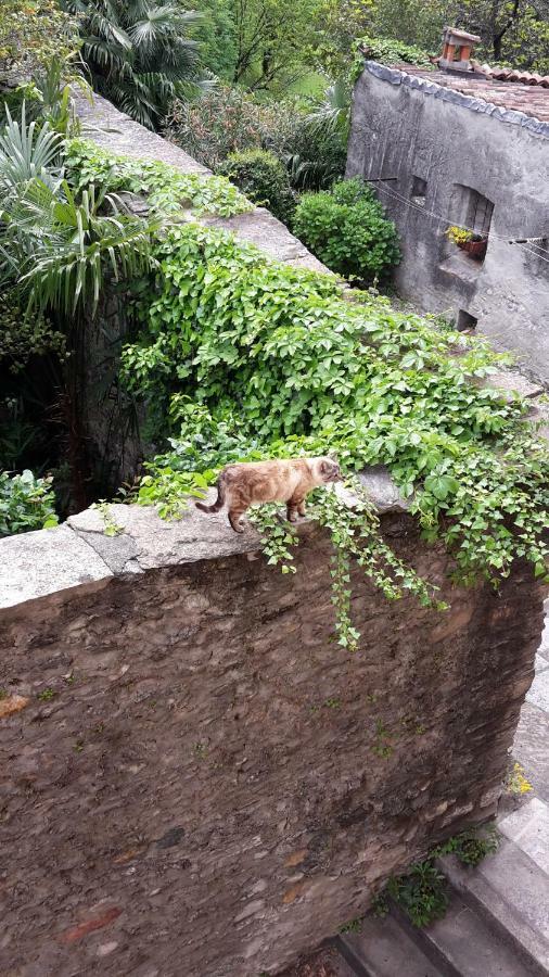 多马索House Of Cats公寓 外观 照片